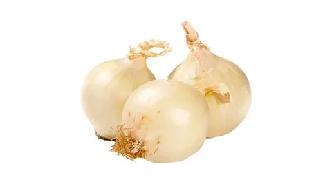 تصویر 2 از راهنما ی خرید پیاز ریز مخصوص ترشی  + قیمت عالی